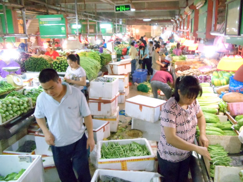 Many Vegetables.